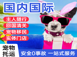 福州空运地址国际宠物托运 【国
